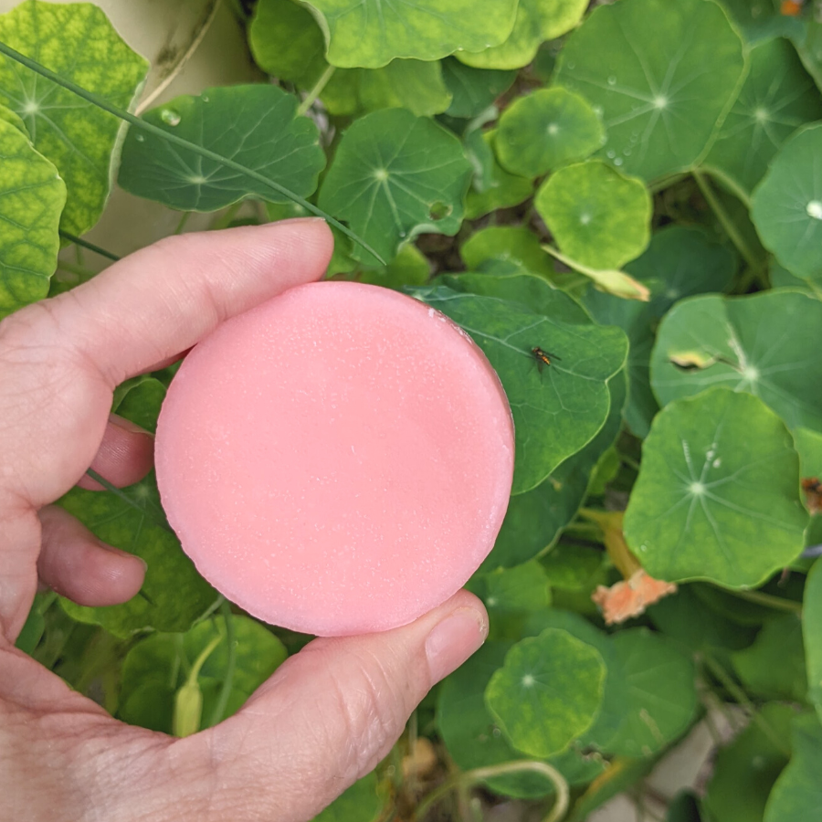 Tangie Conditioner Bar Bergamot Patchouli in hand with greenery background (900×900) zero waste hair care