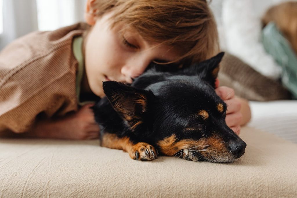 a boy hugging his dog